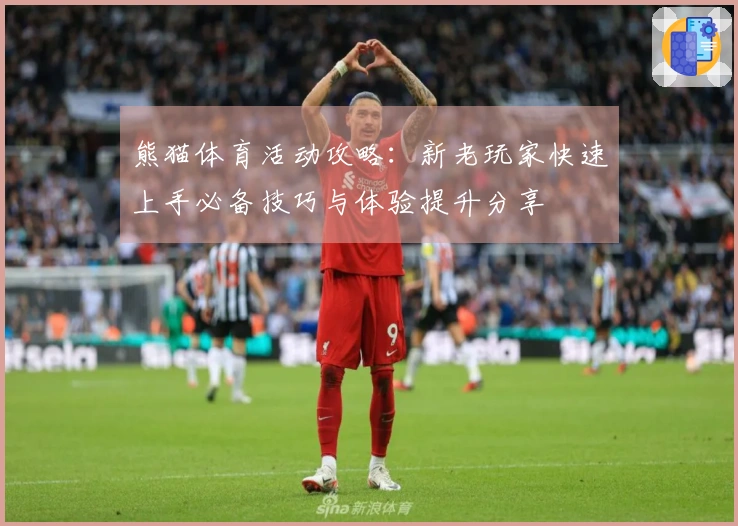 熊猫体育活动攻略：新老玩家快速上手必备技巧与体验提升分享